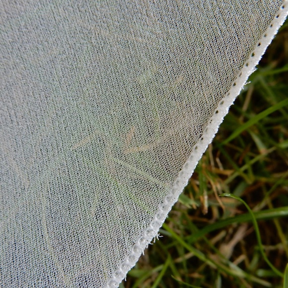 NWOT Custom Cathedral Veil - Picture 4 of 5